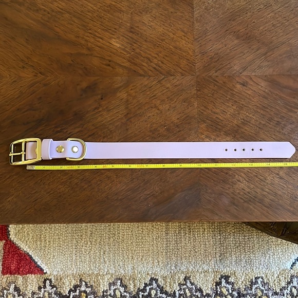 Lavender Waterproof Stinkproof Biothane Dog Collar and Leash - Picture 3 of 5